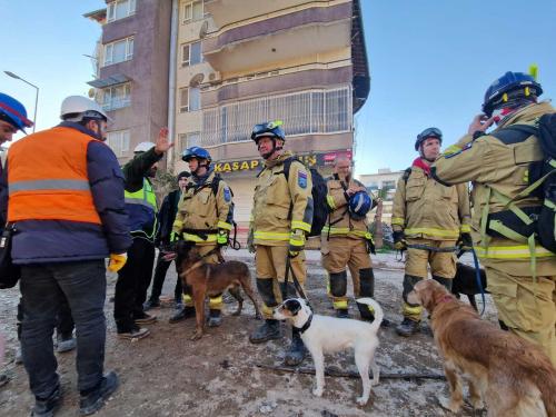 Pet pripadnikov enote in štirje reševalnimi psi v pogovoru s turškimi reševalci med ruševinami.