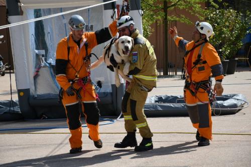 Dva jamarja pomagata vodniku z reševalnim psom z žičnice.