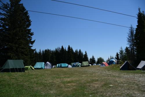 Več šotorov postavljenih na jasi med smrekami.
